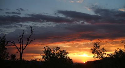 Day break on African safari Day break on African safari
