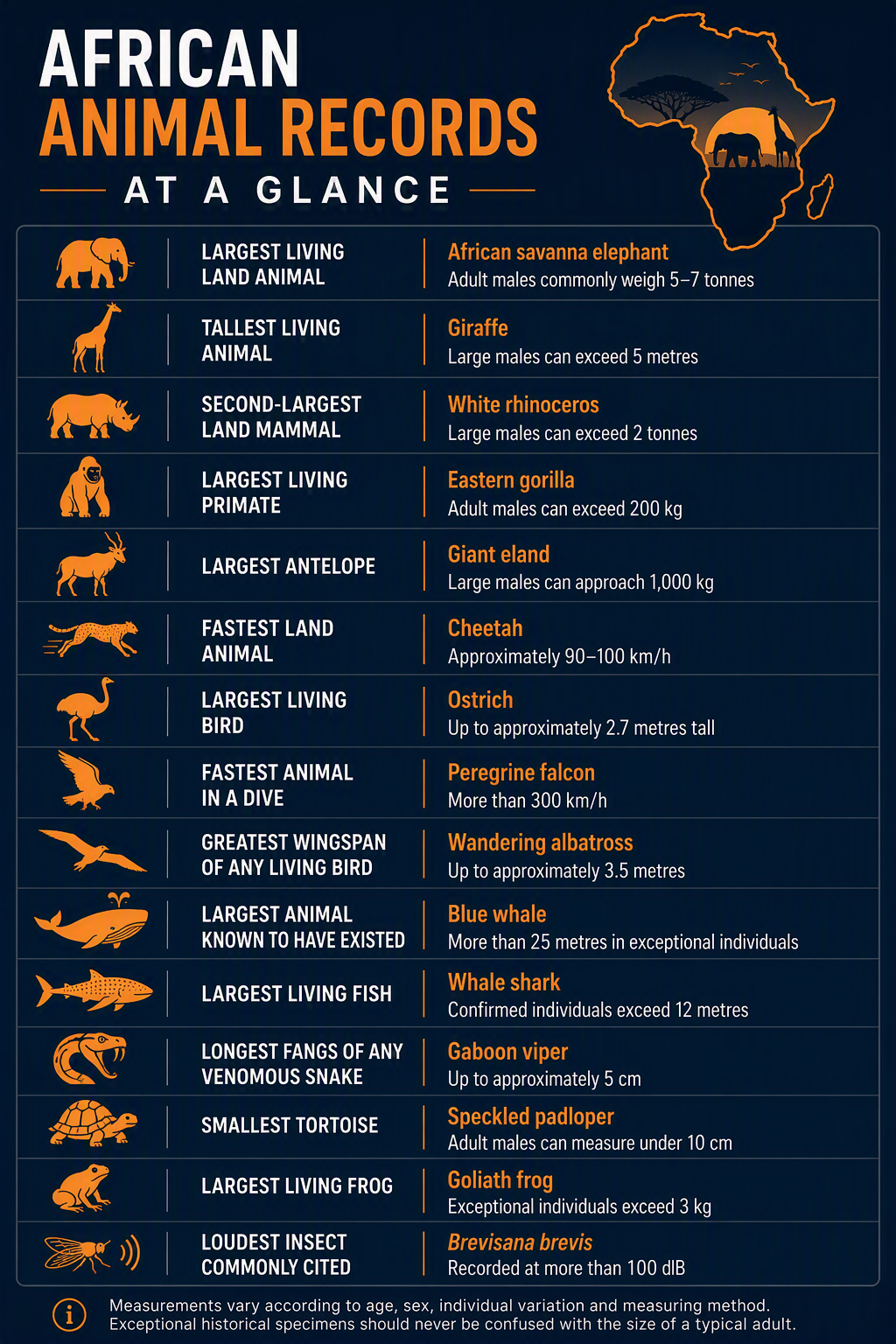 African wildlife records showing the elephant, giraffe, cheetah, ostrich, padloper and Gaboon viper