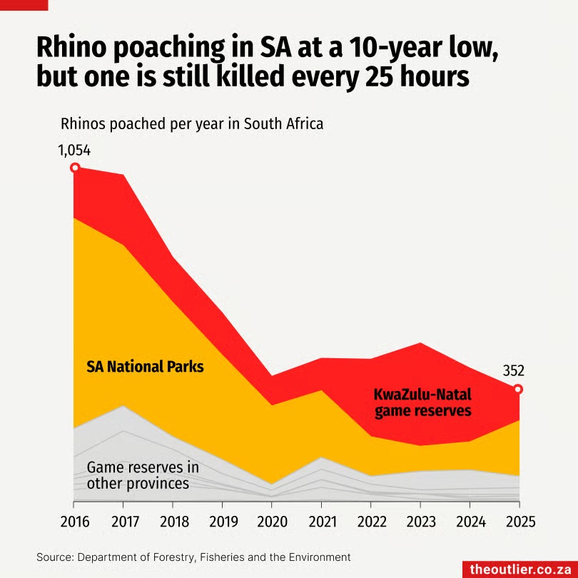 Rhino poaching 2026