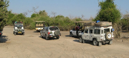 chobe national park safari