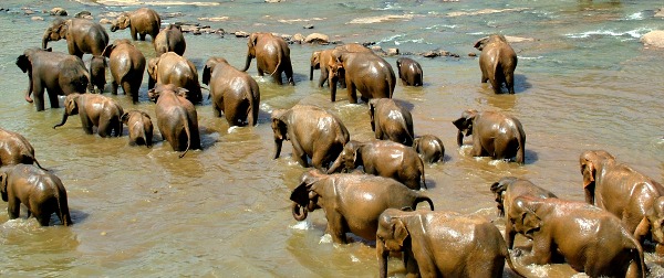 african interesting facts