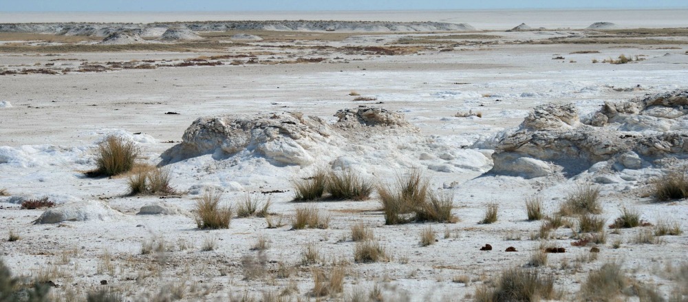 Etosha Namibia pan