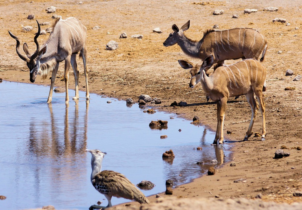 Namibia travel guide